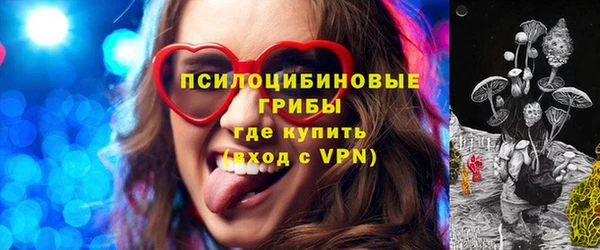 герыч Каменногорск
