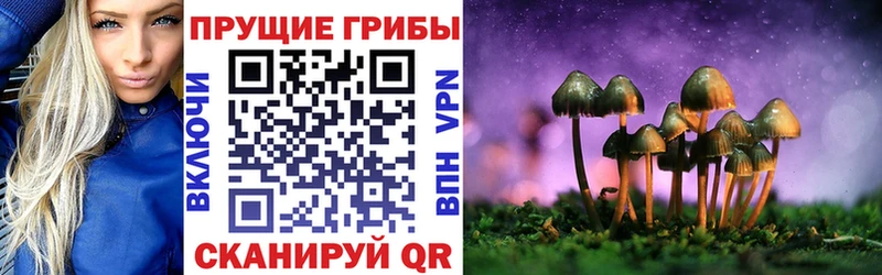 Галлюциногенные грибы прущие грибы  Реутов 